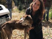 Hikers Rescue Starving Dog Lost for 6 Weeks on a Mountain Hikers Rescue Starving Dog