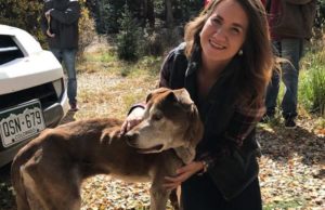 Hikers Rescue Starving Dog Lost for 6 Weeks on a Mountain Hikers Rescue Starving Dog