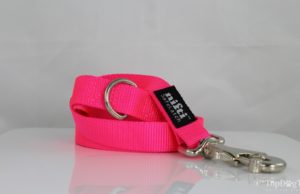 Nifti SafeLatch Dog Leash Giveaway ($27 Value) Nifti SafeLatch Dog Leash Giveaway