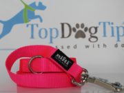 Review: Nifti SafeLatch Dog Leash Nifti SafeLatch Dog Leash Review