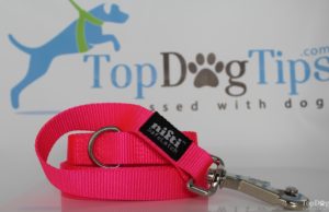 Review: Nifti SafeLatch Dog Leash Nifti SafeLatch Dog Leash Review