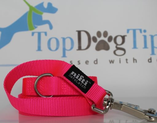 Review: Nifti SafeLatch Dog Leash Nifti SafeLatch Dog Leash Review