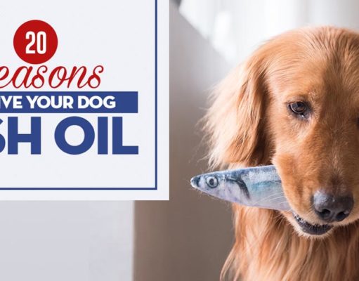 20 Benefits of Fish Oil for Dogs (Based on Science) Reasons to Give Your Dog Fish Oil featured image