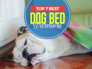 Top 7 Best Dog Bed Warmers The 7 Best Dog Bed Warmers