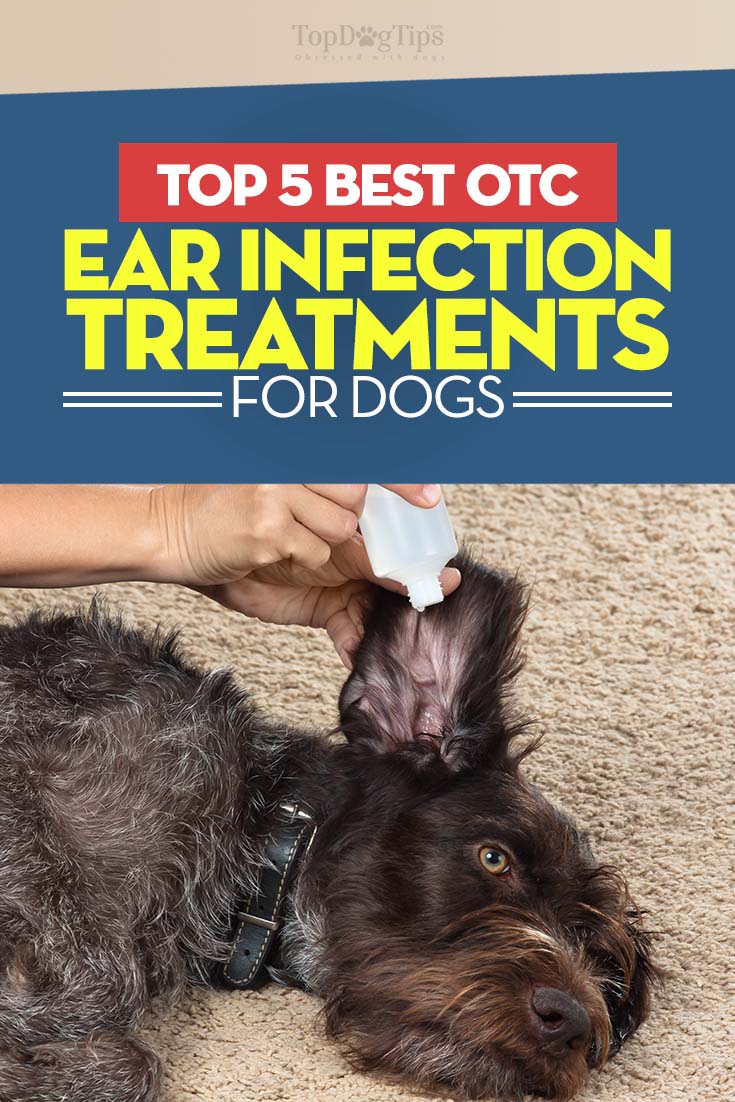 ear treatment for dogs