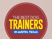 3 Best Dog Trainers in Austin, Texas The Best Dog Trainers in Austin