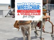 DIY Dog Wheelchair: How to Make a Wheelchair for Dogs Tips for DIY Dog Wheelchair