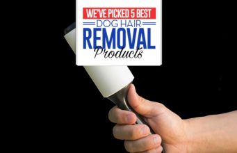 Top 5 Best Dog Hair Removal Products Top 5 Best Dog Hair Removal Products