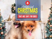8 Artificial Christmas Trees That Are Safe for Dogs Top 8 Artificial Christmas Trees That Are Safe for Dogs