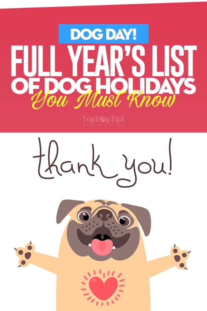 Dog Holidays 2020: Year's Full List of All Special Days