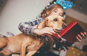 20 Awesome Christmas Gifts for Dog Lovers Christmas Gifts for Dog Lovers