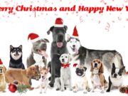 25 Unique Dog Christmas Cards for Animal Lovers Dog Christmas Cards