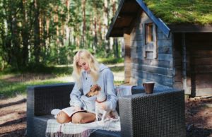 47 Dog-Friendly Holiday Homes in the USA Dog Friendly Holiday Homes