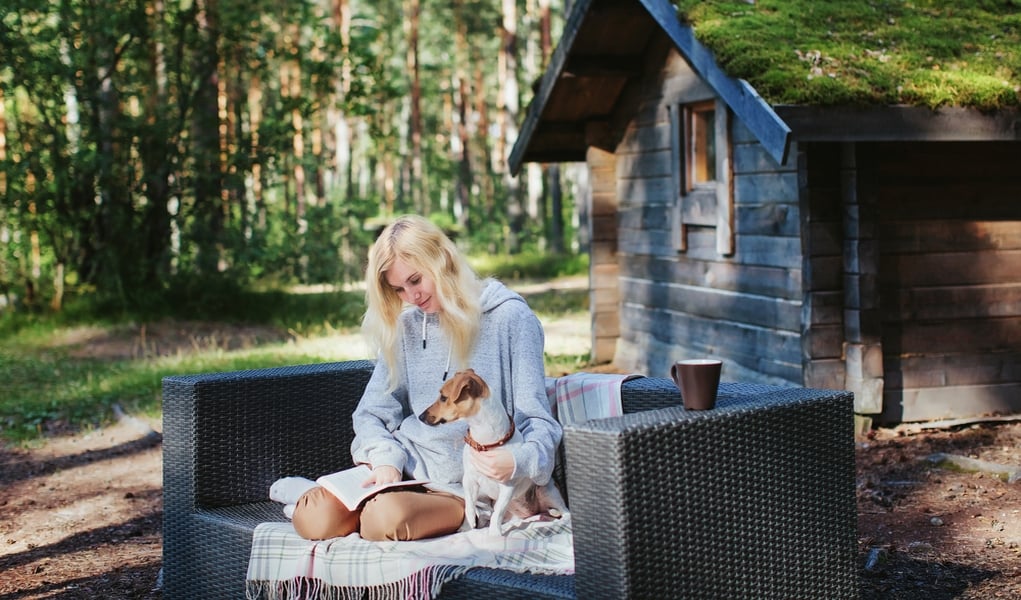 dog friendly holiday lets