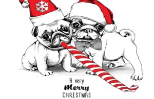 50 Most Awesome Dog Holiday Cards You Can Find (Updated 2023) Dog Holiday Cards