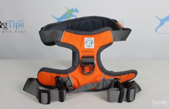 Review: Embark Adventure Dog Harness Embark Adventure Dog Harness