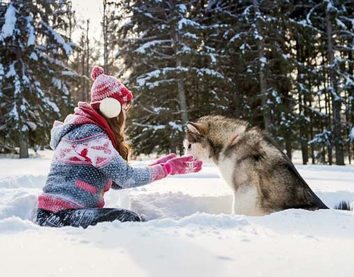 TOP #36: How Seasons Affect Your Dog’s Dietary Needs How Seasons Affect Your Dog's Dietary Needs