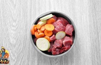 TOP #32: Is Homemade Dog Food As Healthy As We Think It Is? Is Homemade Dog Food As Healthy As We Think It Is