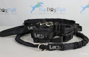 Review: Larz Dog Products Hands Free Dog Leash System Larz Dog Products hands free leash system giveaway