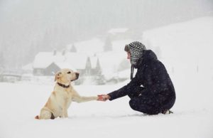 Study Shows How People Empathize More with Dogs than Humans People Empathize More with Dogs than Humans