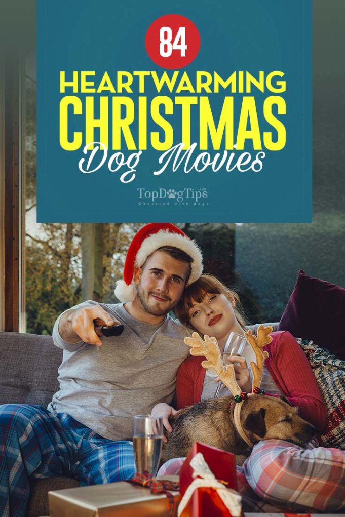 82 Heartwarming Christmas Dog Movies [Infographic]
