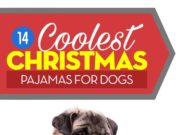 Top 14 Best Christmas Dog Pajamas The Best Christmas Dog Pajamas
