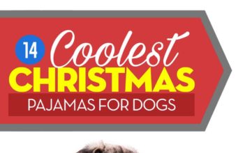 Top 14 Best Christmas Dog Pajamas The Best Christmas Dog Pajamas