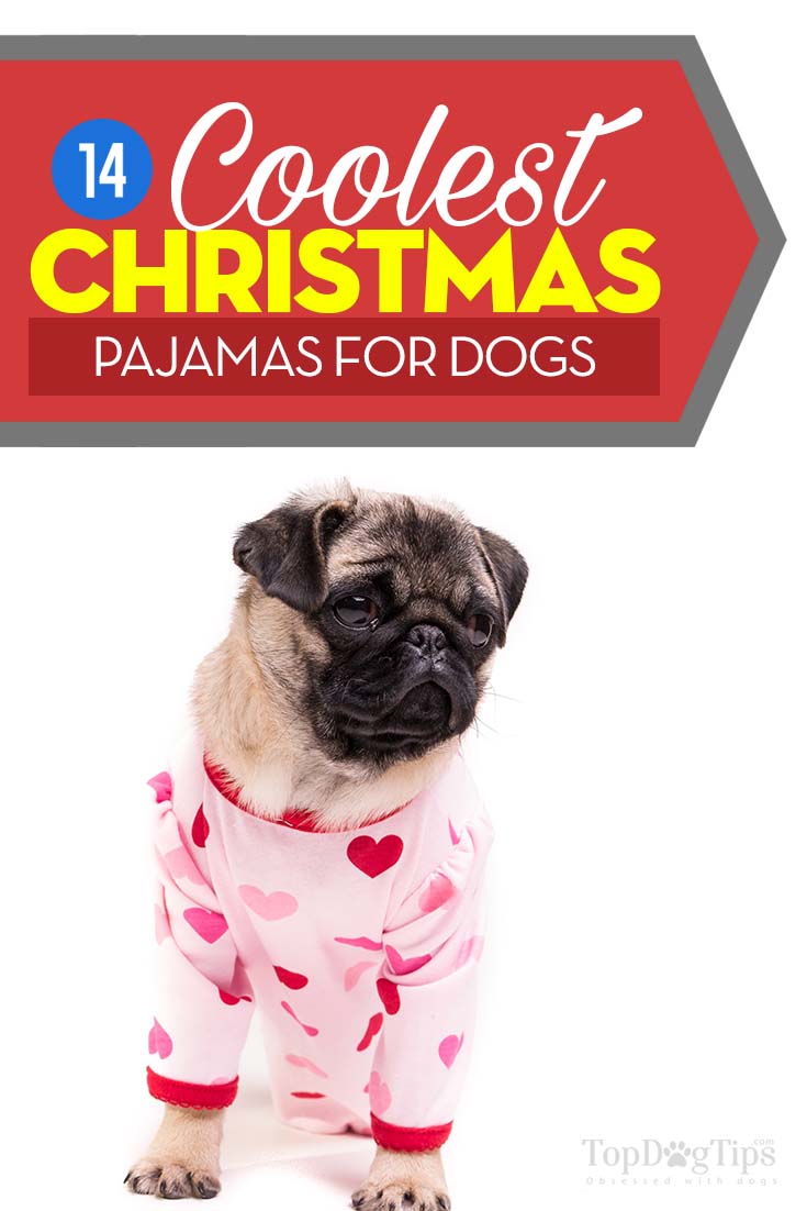 christmas pajamas with dogs on them