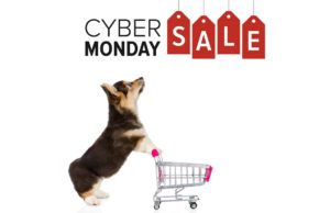 The Best Cyber Monday Deals on Dog Supplies We Could Find The Best Cyber Monday Deals on Dog Supplies