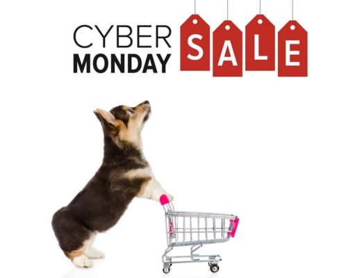 best deals on pet supplies