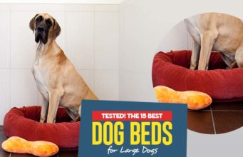 Top 15 Best Dog Beds for Large Dogs The Best Dog Beds for Large Dogs