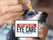 Top 5 Best Dog Eye Care Products The Best Dog Eye Care Products