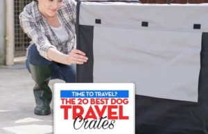 Top 20 Best Dog Travel Crates The Best Dog Travel Crates