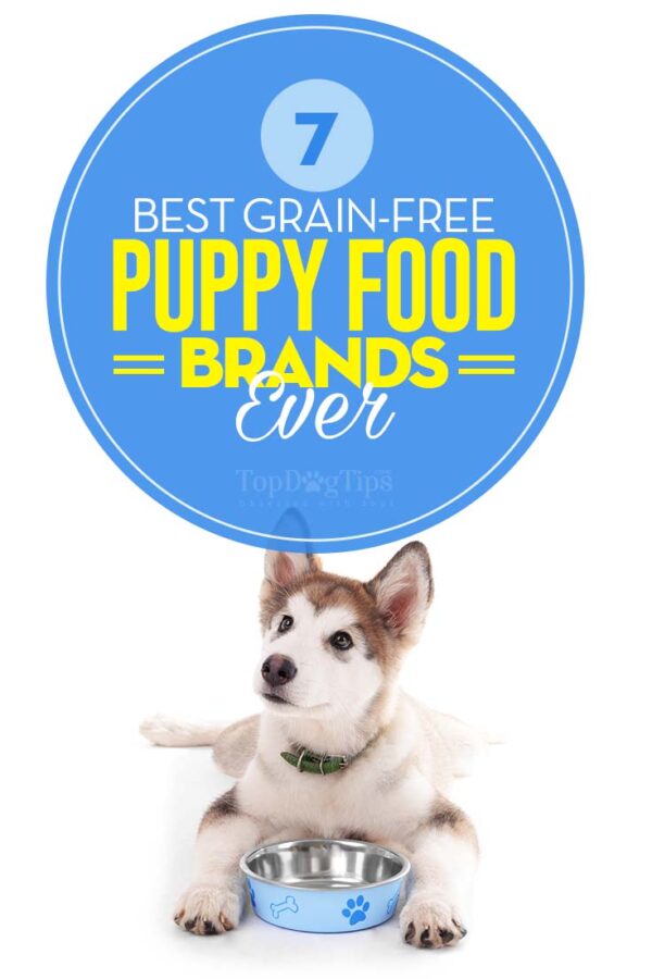Top 7 Best Grain Free Puppy Food Brands