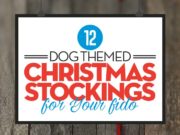 Top 12 Best Dog Christmas Stockings Top Best Dog Christmas Stockings