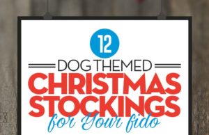 Top 12 Best Dog Christmas Stockings Top Best Dog Christmas Stockings