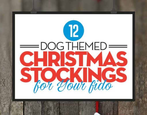 Top 12 Best Dog Christmas Stockings Top Best Dog Christmas Stockings