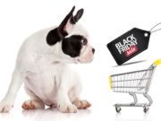 The Best Black Friday Deals on Dog Supplies We Could Find UPDATE Best Black Friday Deals Dog Supplies