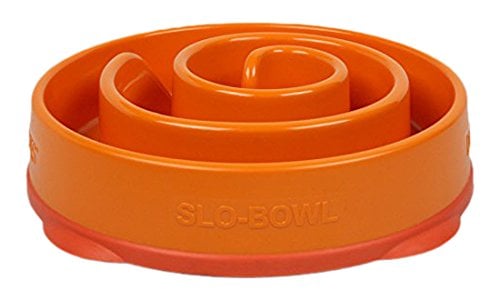 Outward Hound Kyjen Slo-Bowl Slow Feeder