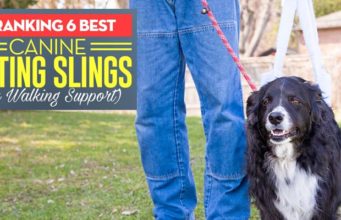 6 Best Dog Sling Harnesses for Walking Support Best Dog Sling Harness