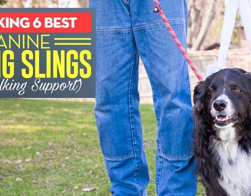 6 Best Dog Sling Harnesses for Walking Support Best Dog Sling Harness
