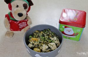 Recipe: Leftover Christmas Dinner for Dogs