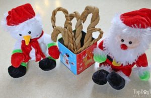 Recipe: Homemade Candy Cane Dog Treats Homemade Candy Cane Dog Treats