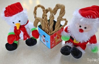 Recipe: Homemade Candy Cane Dog Treats Homemade Candy Cane Dog Treats