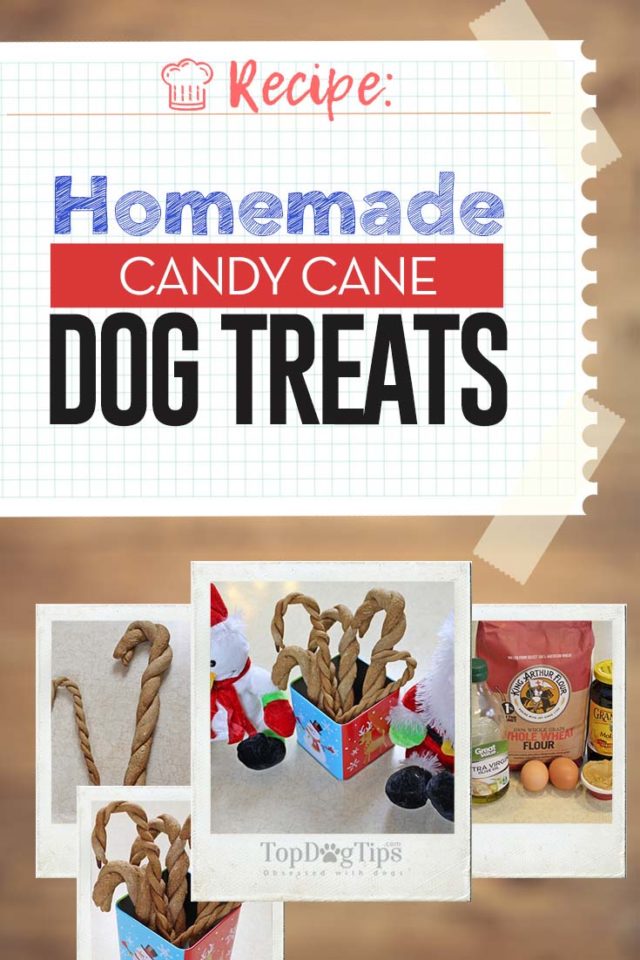 Recipe Video Homemade Candy Cane Dog Treats for Holidays