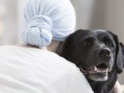 How to Make Your Dog an Emotional Support Dog How to Make My Dog an Emotional Support Dog