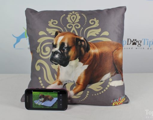 Review: Life Goes Pop! Personalized Throw Pillow Life Goes Pop Personalized Throw Pillow