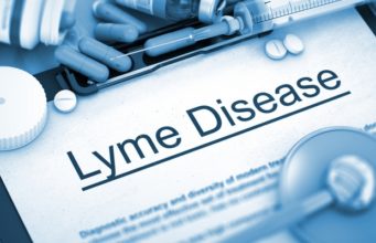 Lyme Disease in Dogs: How to Tell and What to Do Lyme Disease in Dogs: How to Know and What to Do Featured Image