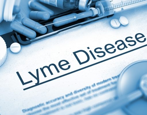 Lyme Disease in Dogs: How to Tell and What to Do Lyme Disease in Dogs: How to Know and What to Do Featured Image