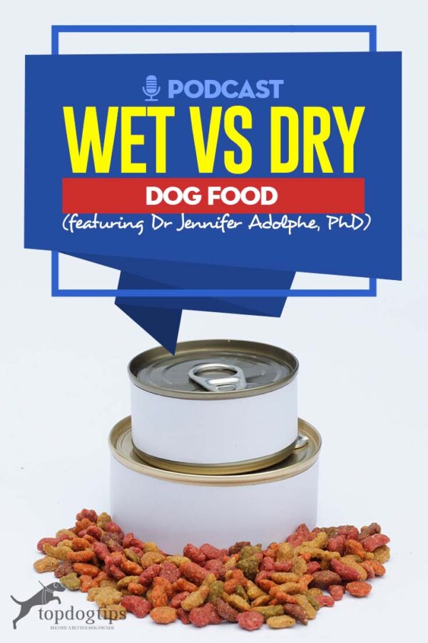 TOP 37 Wet vs Dry Dog Food ft. Dr Jennifer Adolphe, PhD